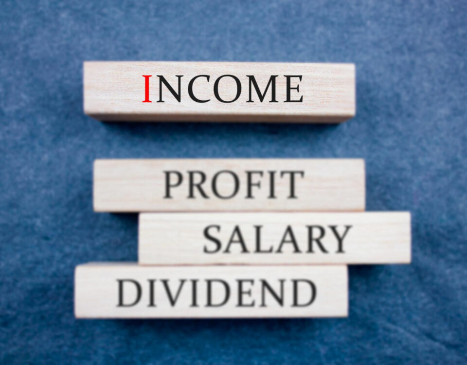 a jenga stick wood that has the word income, profit, salary and dividend written on it - salary structure - BizEdge blog
